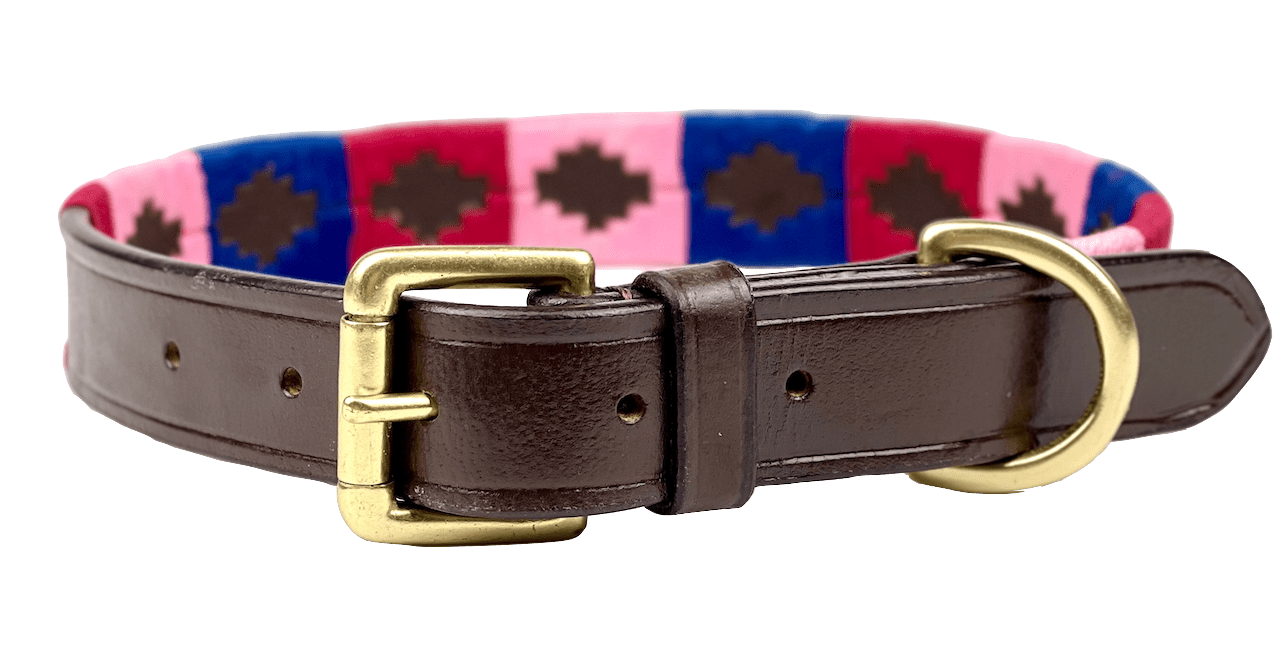 Polo Style Dog Collar - Pet Supplier Store
