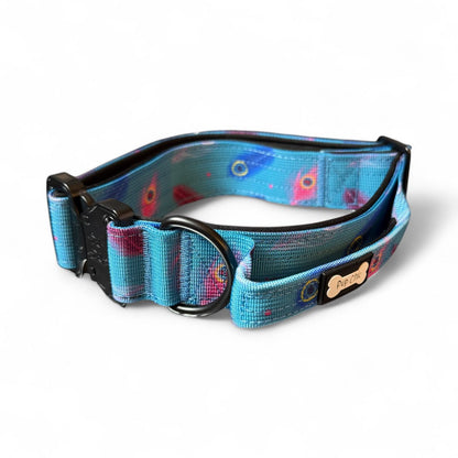 Power Peacock Tactical Dog Collar (M–XL) – Heavy-Duty Strength Meets Bold Style - Pet Supplier Store