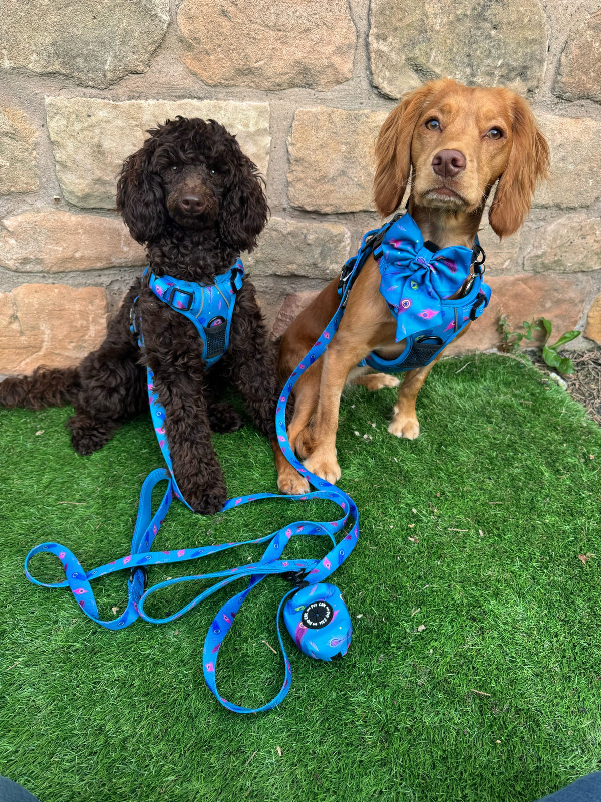 Power Peacock Tactical Dog Harness – No Pull & Fully Adjustable - Pet Supplier Store