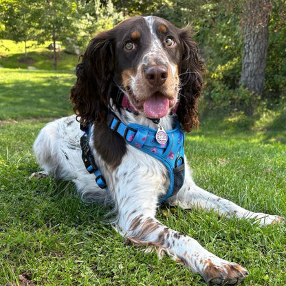 Power Peacock Tactical Dog Harness – No Pull & Fully Adjustable - Pet Supplier Store