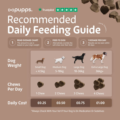 Pre & Probiotic Treats - Pet Supplier Store