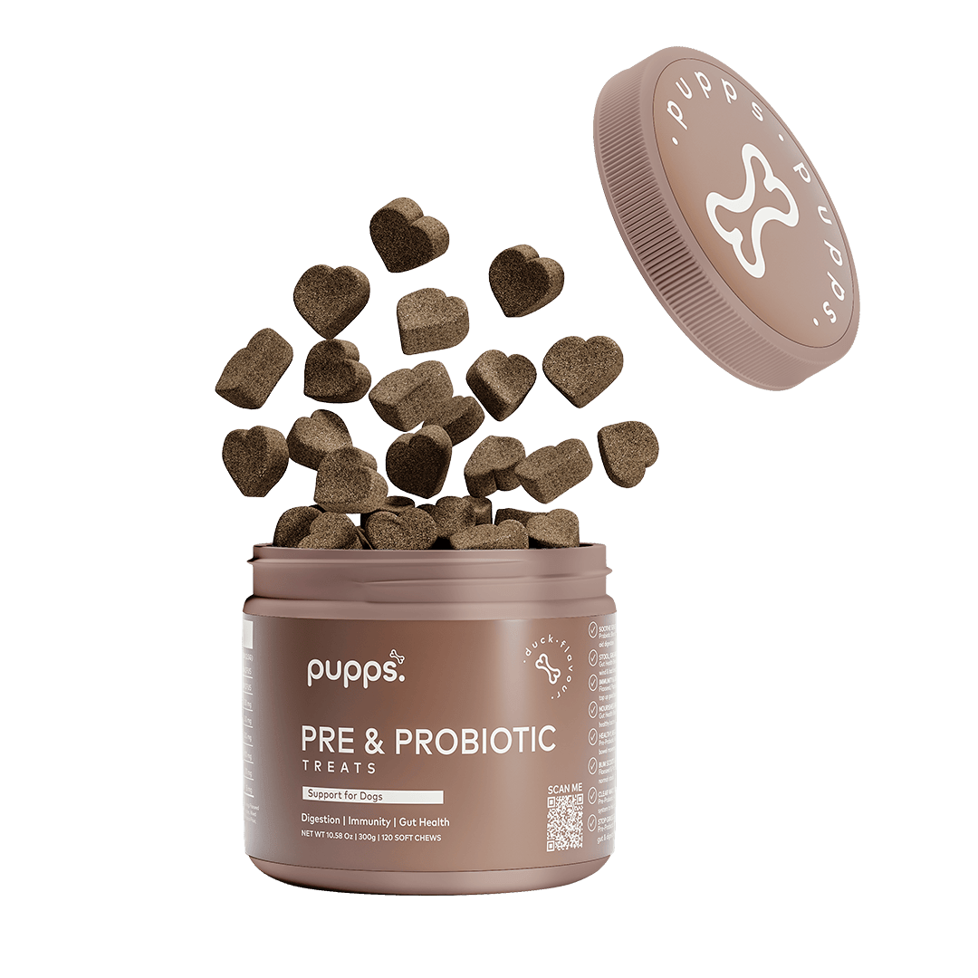 Pre & Probiotic Treats - Pet Supplier Store