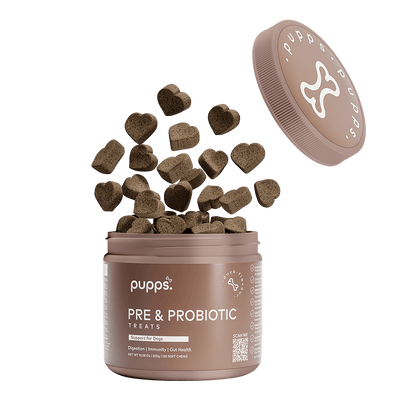 Pre & Probiotic Treats - Pet Supplier Store