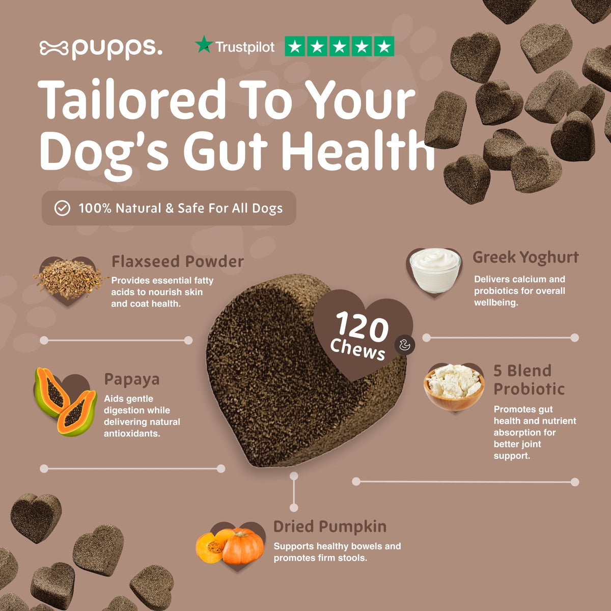 Pre & Probiotic Treats - Pet Supplier Store