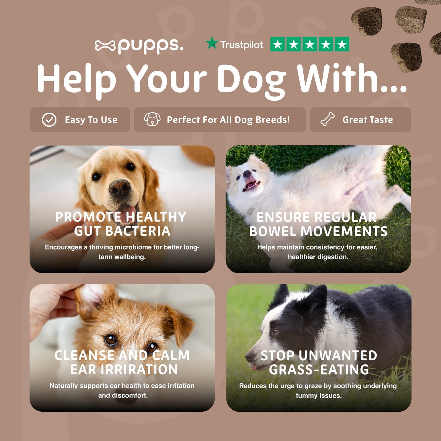 Pre & Probiotic Treats - Pet Supplier Store