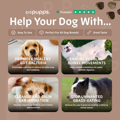 Pre & Probiotic Treats - Pet Supplier Store