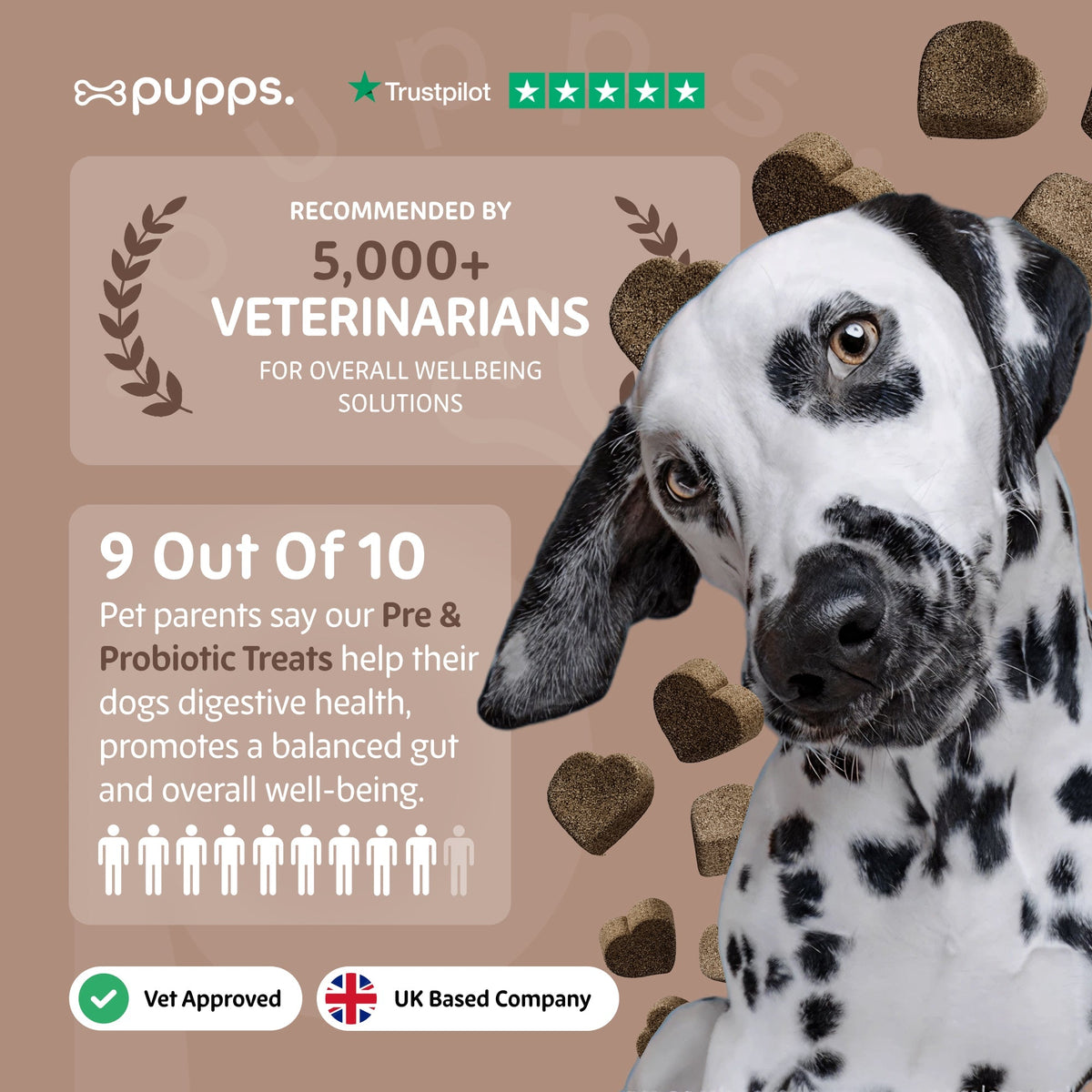 Pre & Probiotic Treats - Pet Supplier Store