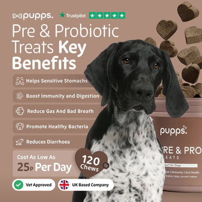Pre & Probiotic Treats - Pet Supplier Store