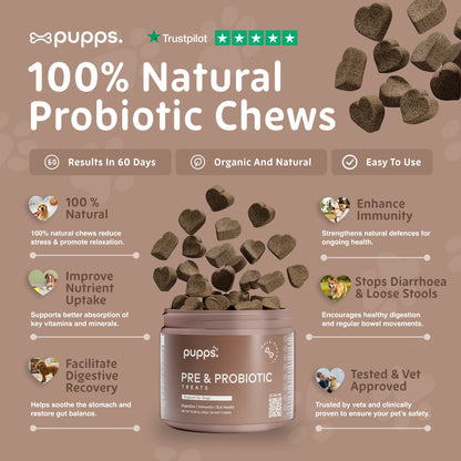 Pre & Probiotic Treats - Pet Supplier Store