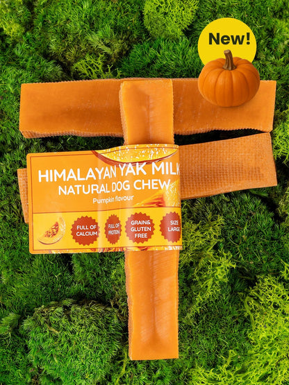 Pumpkin Yak Dog Chew - Pet Supplier Store
