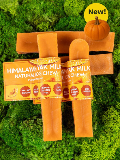 Pumpkin Yak Dog Chew - Pet Supplier Store