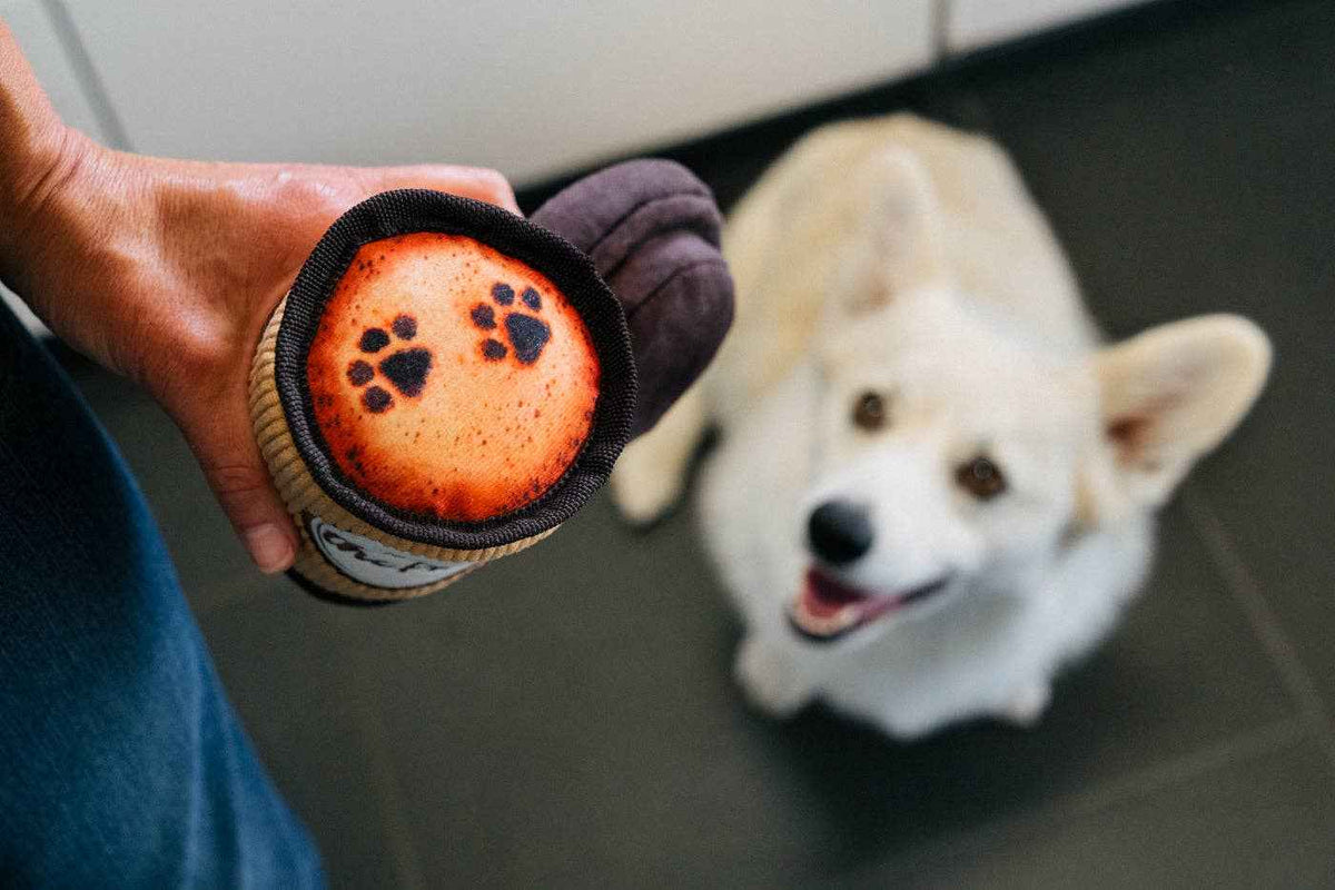 Pup Cup Cafe Doggo's Java - Pet Supplier Store