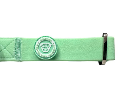 Puppy PVC BTactical™ Collar | Pastel Green - Pet Supplier Store