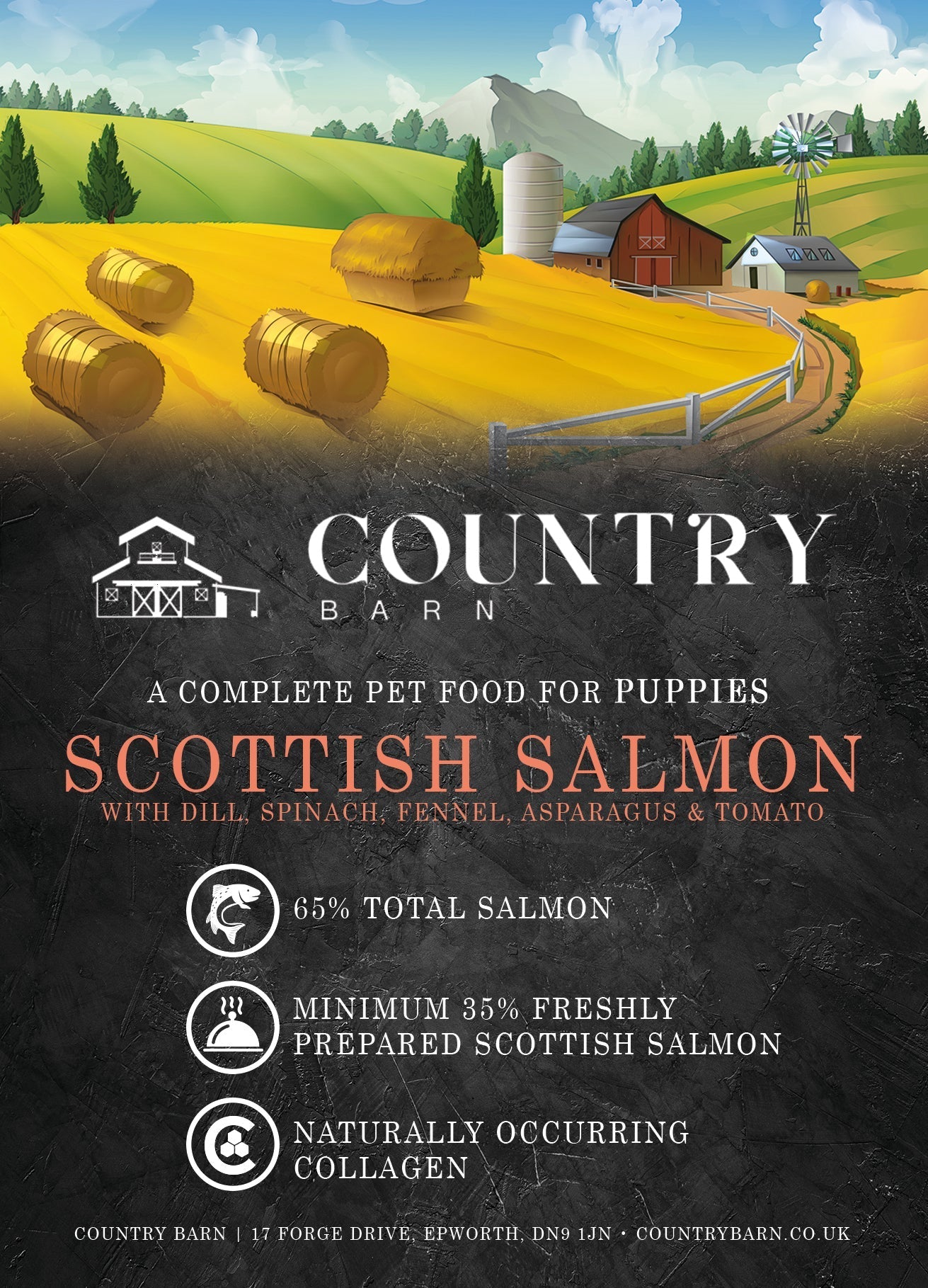Puppy - Scottish Salmon - Pet Supplier Store