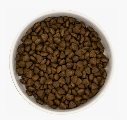 Puppy - Turkey & Pork - Pet Supplier Store