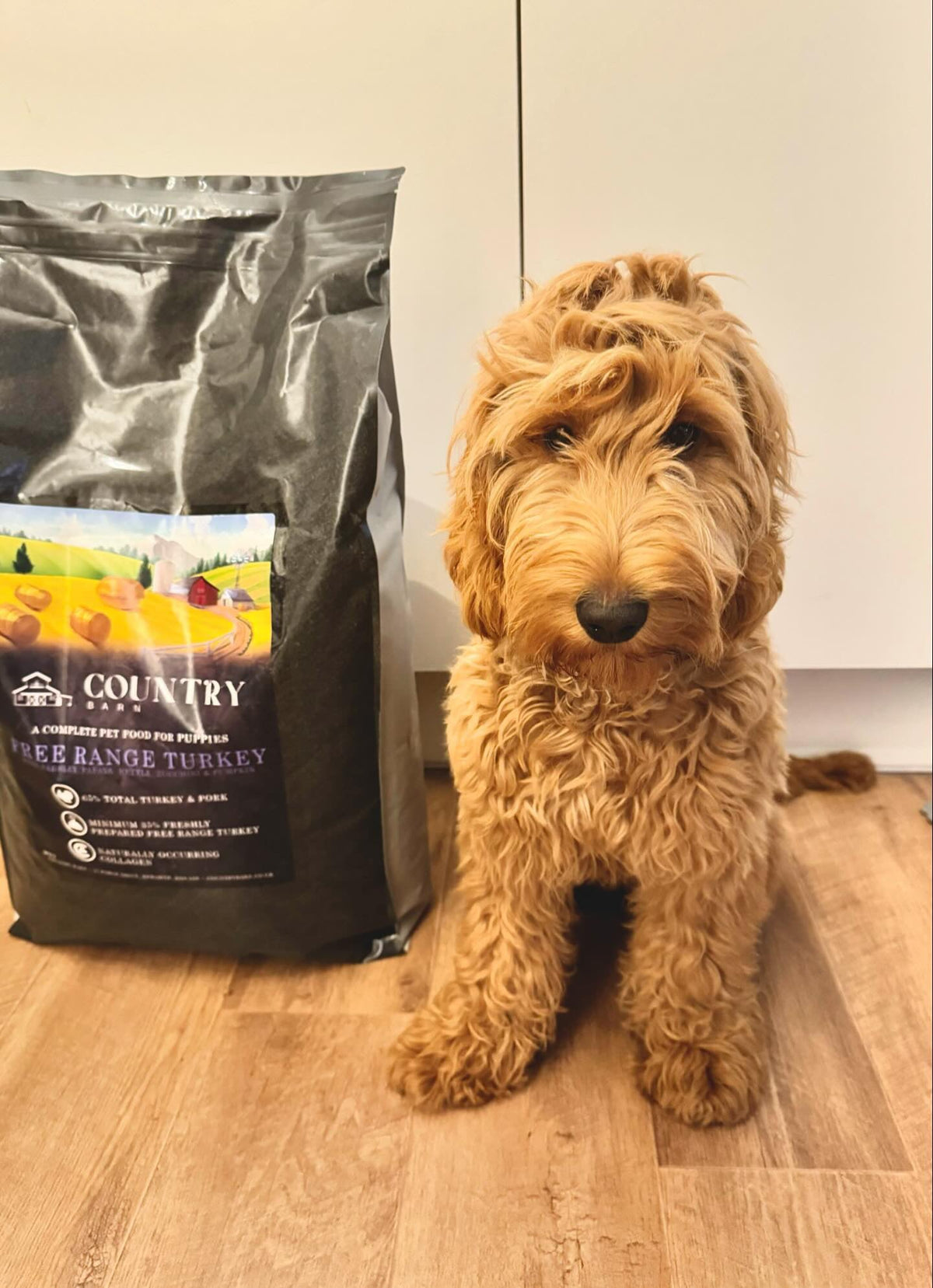 Puppy - Turkey & Pork - Pet Supplier Store