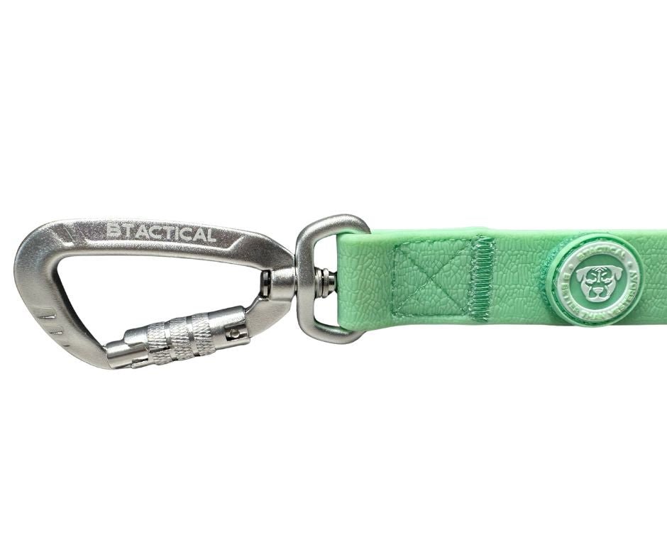 PVC BTactical™ Carabiner Clip Lead | Pastel Green - Pet Supplier Store