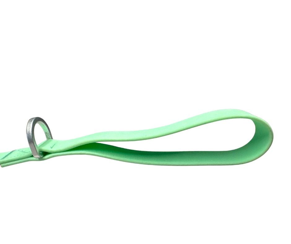 PVC BTactical™ Carabiner Clip Lead | Pastel Green - Pet Supplier Store