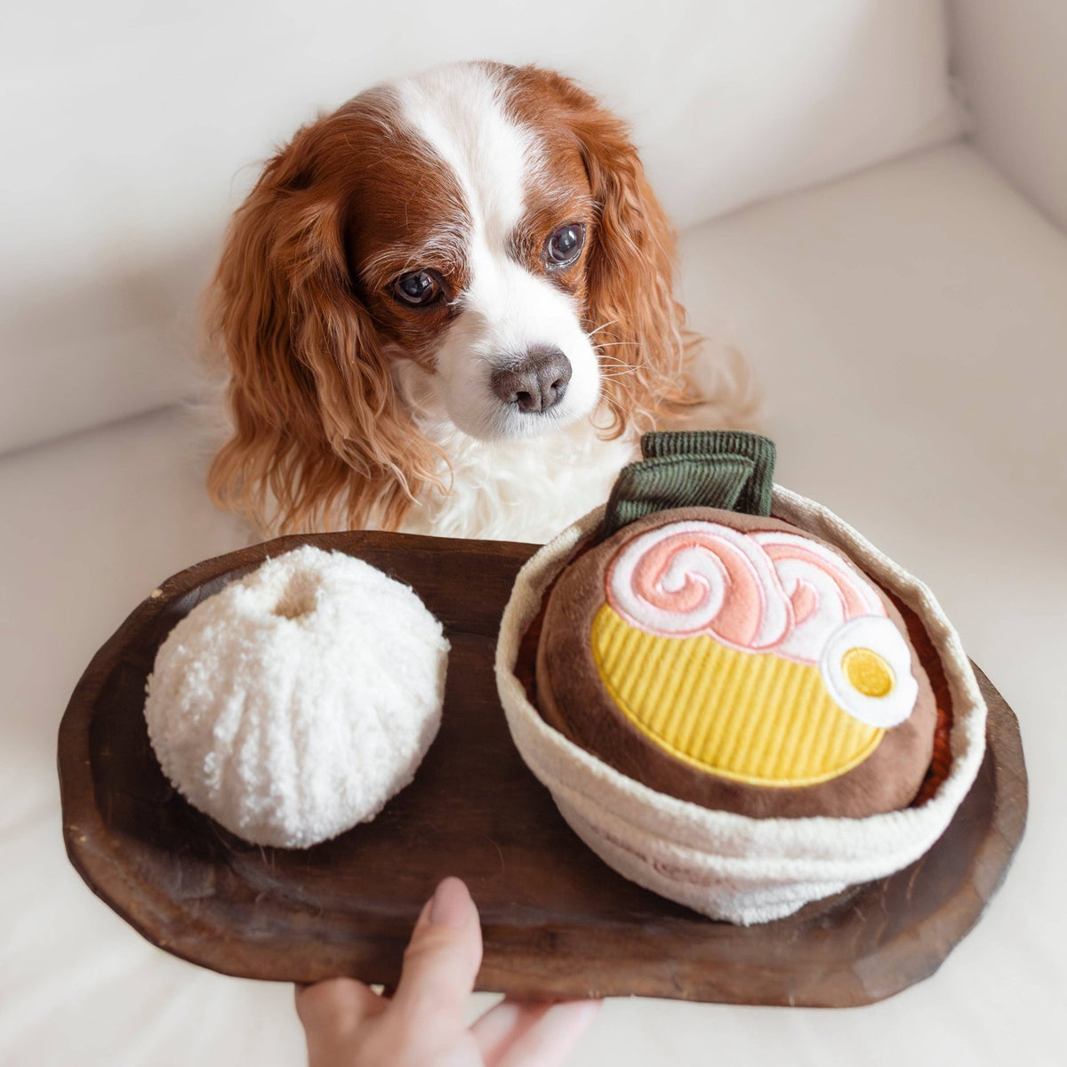 Ramen enrichment dog toy - Pet Supplier Store