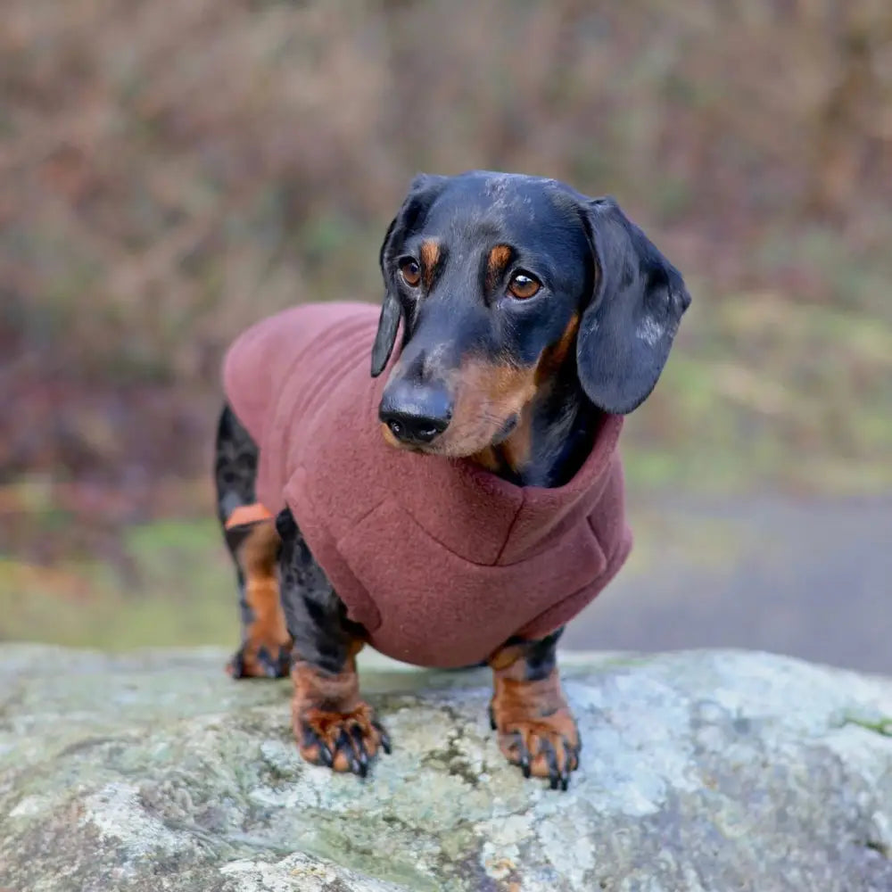 Standard Sized Fleece Snuggle Jumper - Ready to Ship | Hugo and Ted