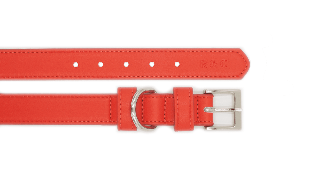 Red Leather Dog Collar - Pet Supplier Store