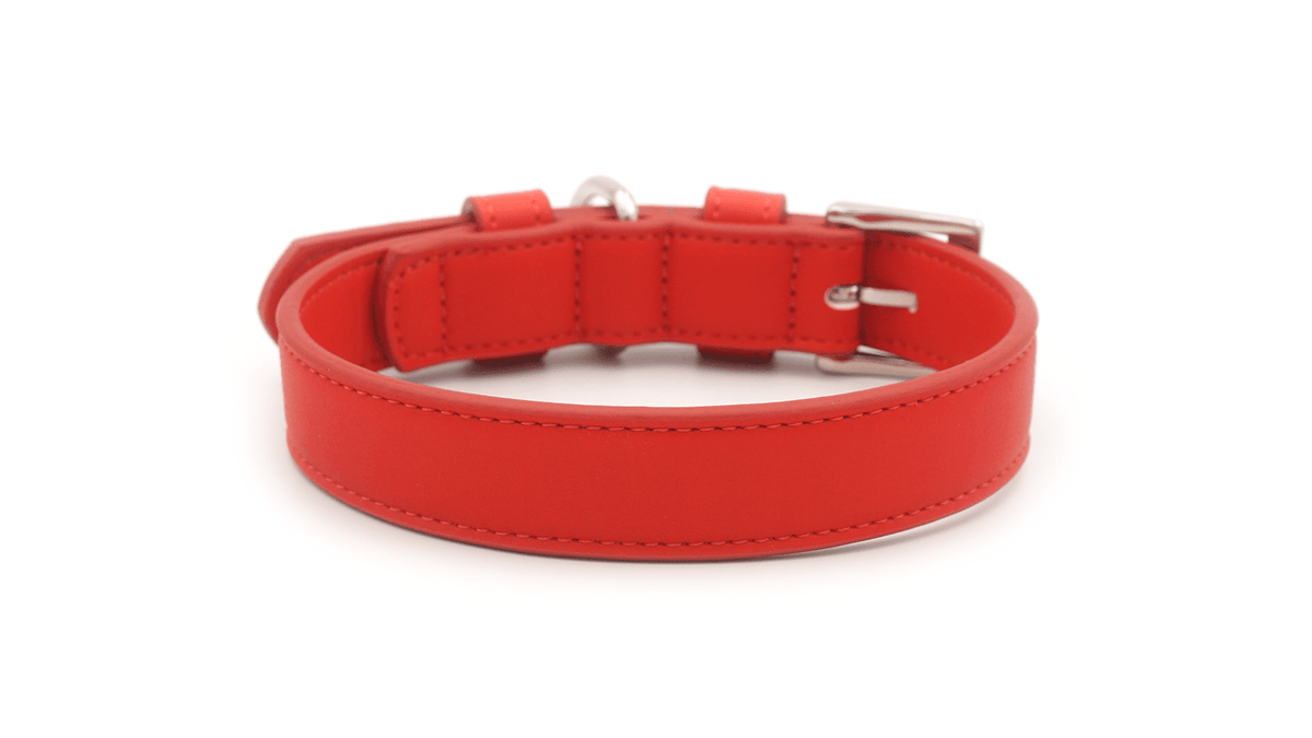 Red Leather Dog Collar - Pet Supplier Store