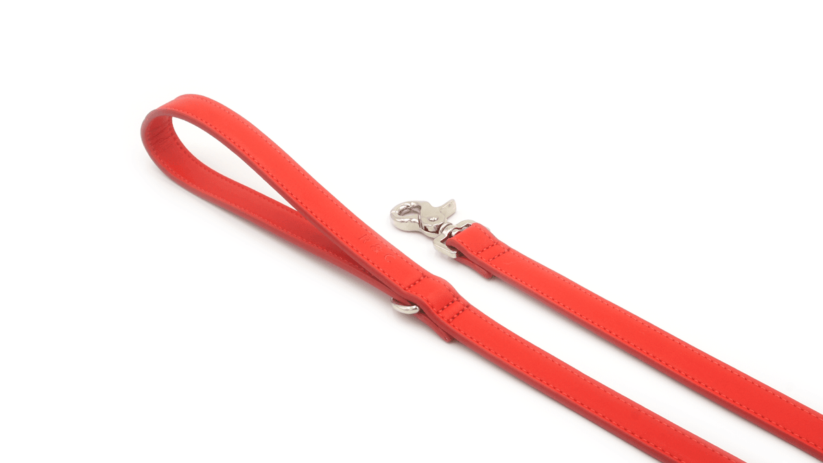 Red Leather Dog Lead - Pet Supplier Store