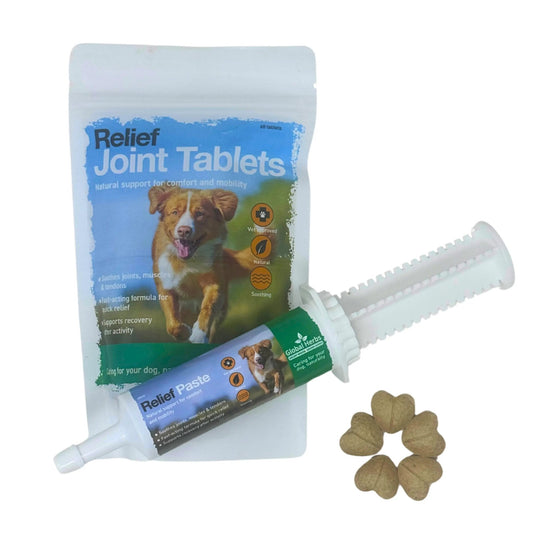 Relief Paste 60ml - Global Herbs - Canine - Pet Supplier Store
