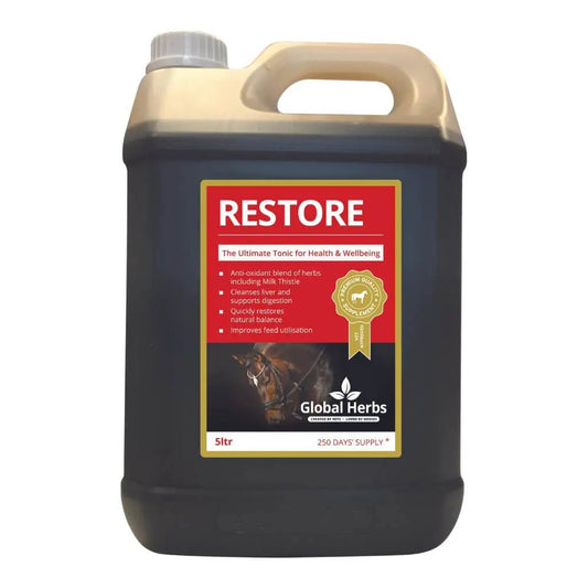 Restore liquid - Equine - Pet Supplier Store