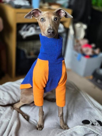 Ribbed Jersey T-Shirt - Orangina - Pet Supplier Store