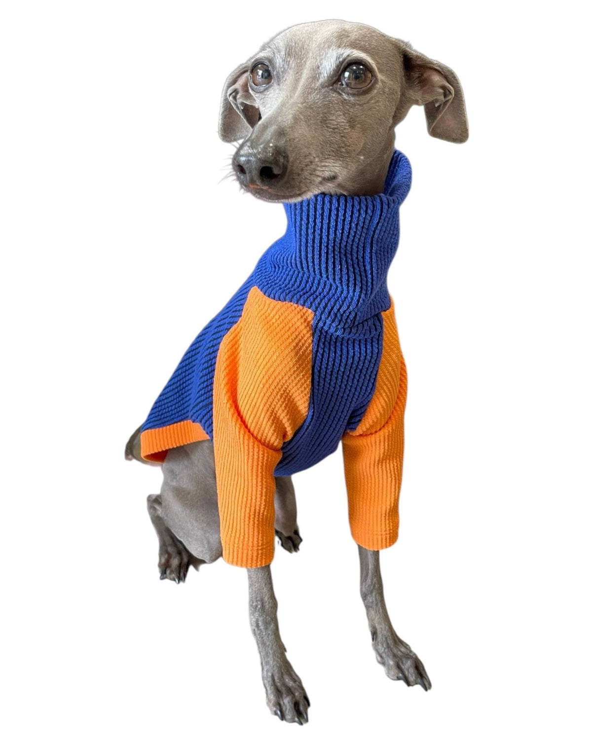 Ribbed Jersey T-Shirt - Orangina - Pet Supplier Store