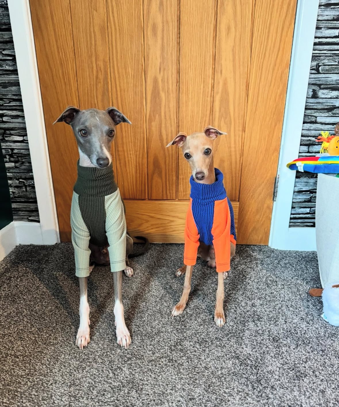 Ribbed Jersey T-Shirt - Orangina - Pet Supplier Store