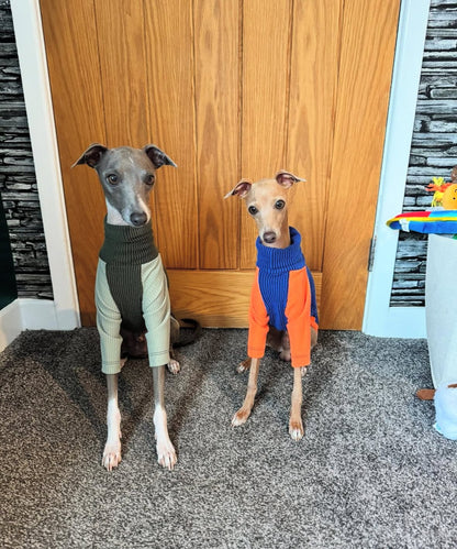 Ribbed Jersey T-Shirt - Orangina - Pet Supplier Store