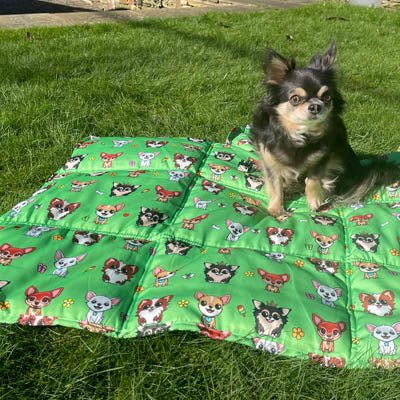 Roll and Go Signature Collection Garden Days Padded Chihuahua Print Travel Mat by My Chi and Me - Pet Supplier Store