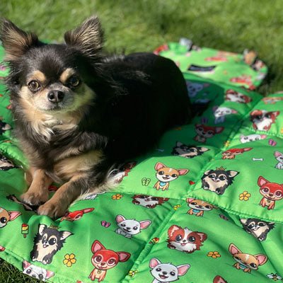 Roll and Go Signature Collection Garden Days Padded Chihuahua Print Travel Mat by My Chi and Me - Pet Supplier Store