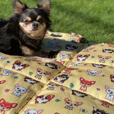 Roll and Go Signature Collection Golden Sands Padded Chihuahua Print Travel Mat by My Chi and Me - Pet Supplier Store