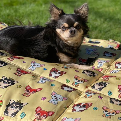 Roll and Go Signature Collection Golden Sands Padded Chihuahua Print Travel Mat by My Chi and Me - Pet Supplier Store