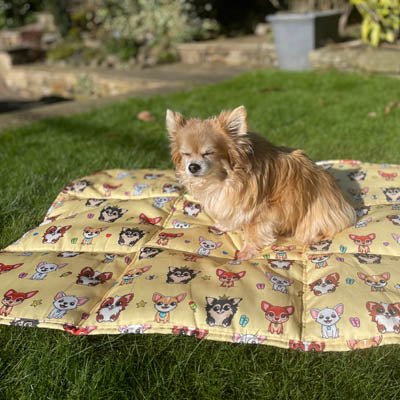 Roll and Go Signature Collection Golden Sands Padded Chihuahua Print Travel Mat by My Chi and Me - Pet Supplier Store