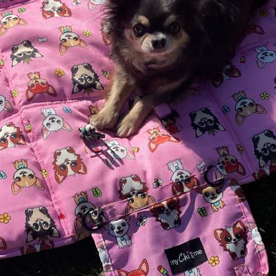 Roll and Go Signature Collection Pink Padded Chihuahua Print Travel Mat by My Chi and Me - Pet Supplier Store