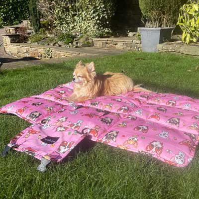 Roll and Go Signature Collection Pink Padded Chihuahua Print Travel Mat by My Chi and Me - Pet Supplier Store