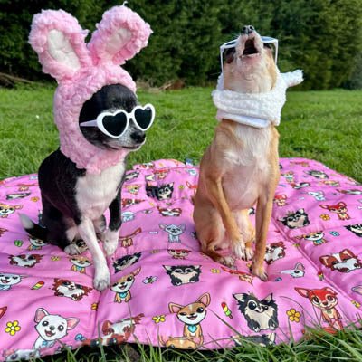 Roll and Go Signature Collection Pink Padded Chihuahua Print Travel Mat by My Chi and Me - Pet Supplier Store