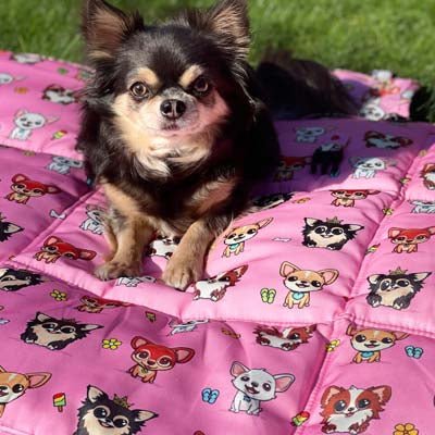 Roll and Go Signature Collection Pink Padded Chihuahua Print Travel Mat by My Chi and Me - Pet Supplier Store