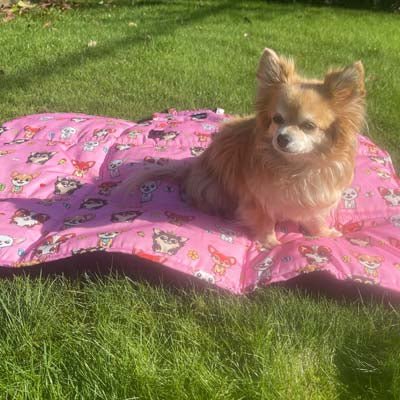 Roll and Go Signature Collection Pink Padded Chihuahua Print Travel Mat by My Chi and Me - Pet Supplier Store