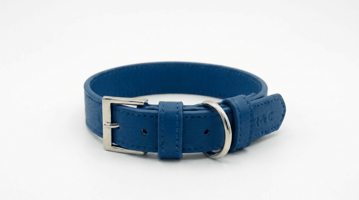 Royal Blue Leather Dog Collar - Pet Supplier Store
