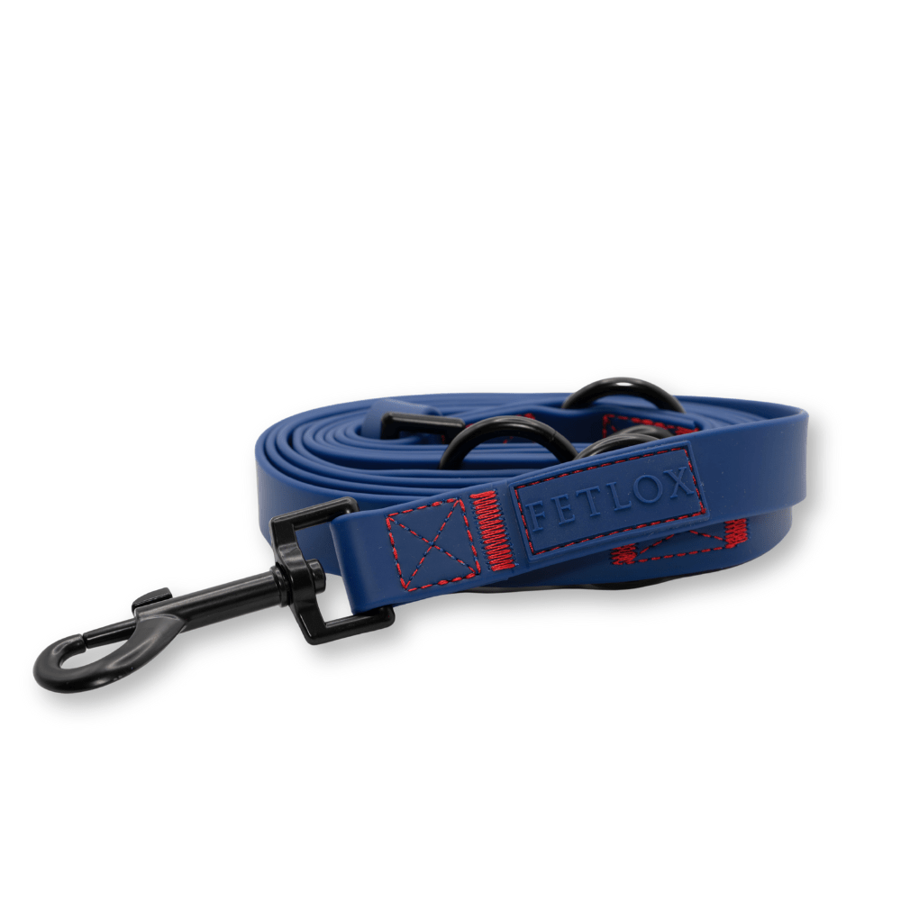 Rufus 3-in-1 Adjustable Dog Leash - Blue - Pet Supplier Store