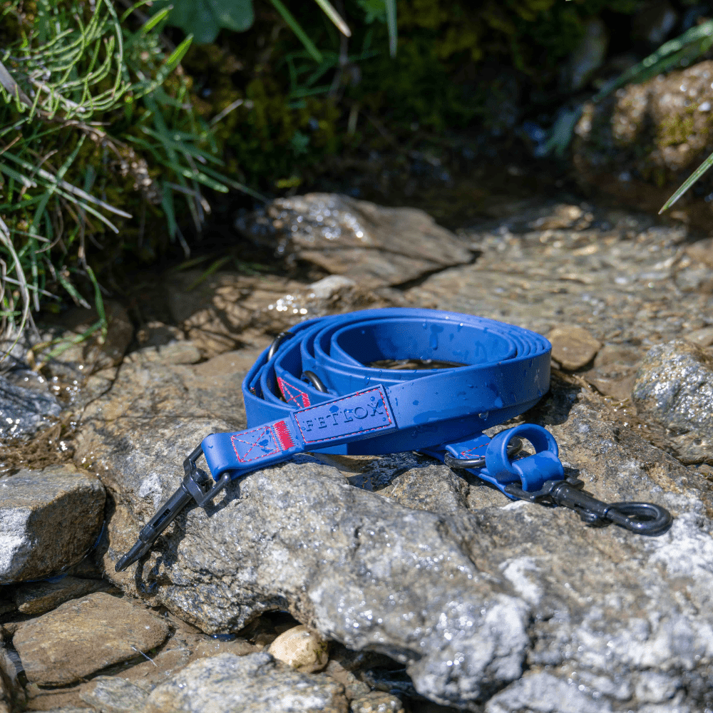 Rufus 3-in-1 Adjustable Dog Leash - Blue - Pet Supplier Store