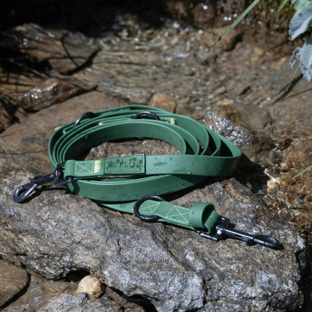 Rufus 3-in-1 Adjustable Dog Leash - Green - Pet Supplier Store