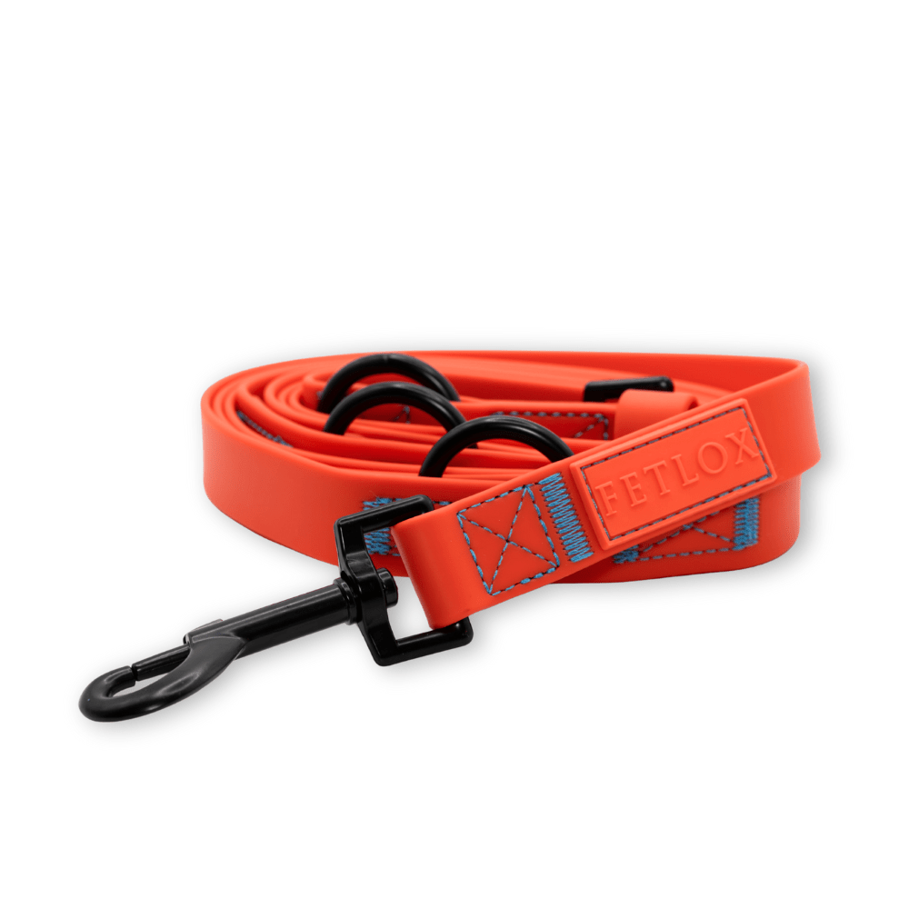 Rufus 3-in-1 Adjustable Dog Leash - Orange - Pet Supplier Store
