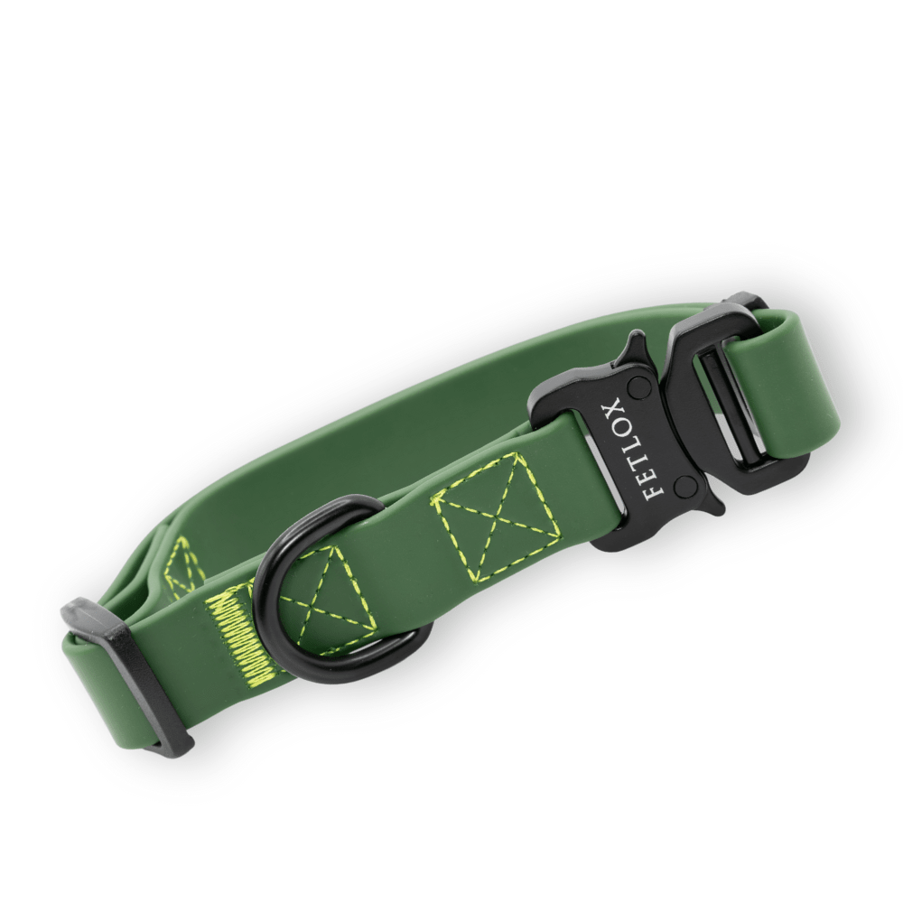 Rufus Dog Collar - Green - Pet Supplier Store