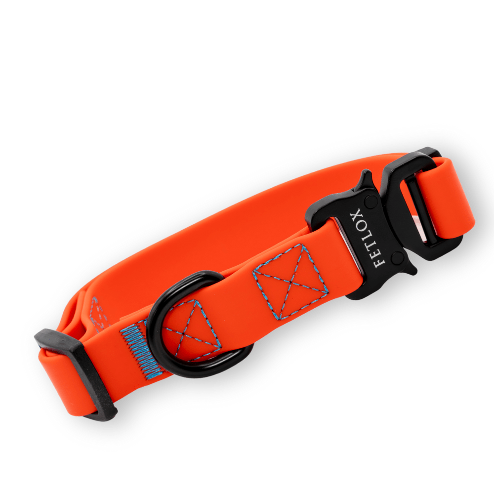 Rufus Dog Collar - Orange - Pet Supplier Store